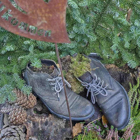 Am Damwildgehege Ii Lejlighed *