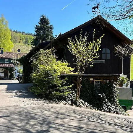 Am Damwildgehege Ii *