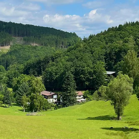 Am Damwildgehege Ii Lejlighed