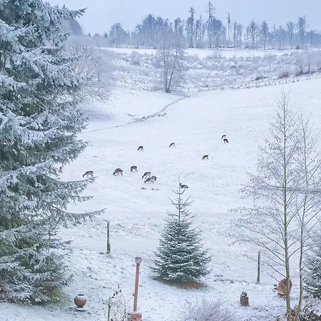 Lejlighed Am Damwildgehege Ii