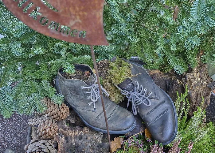 Am Damwildgehege Ii Daire *