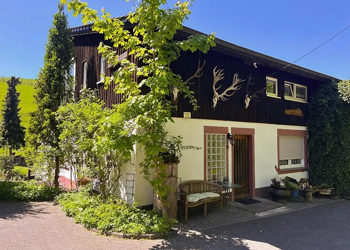 Am Damwildgehege Ii * Lennestadt