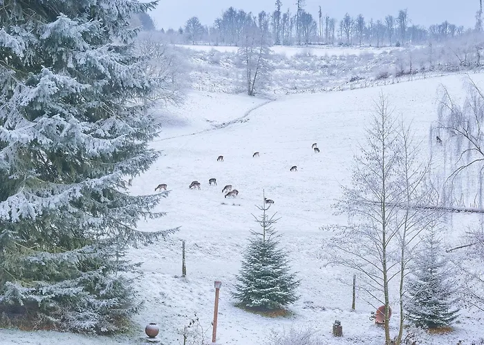 Daire Am Damwildgehege Ii